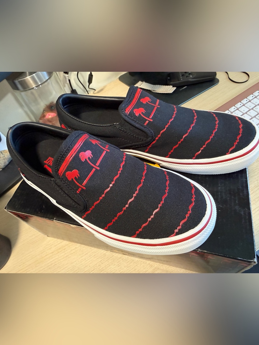 Women’s In-n-Out Slip-On Canvas Shoes - Black with Red Palm Stripe Design